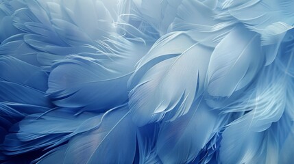 Poster - blue feathers create a soft and delicate texture, showcasing natural beauty in a serene and calming 