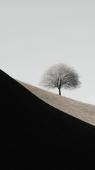Poster - isolated tree on a hilltop serene landscape minimalistic calm environment artistic viewpoint