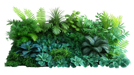tropical foliage wall lush green plants, 3d garden scene for summer and spring themes, isolated on t