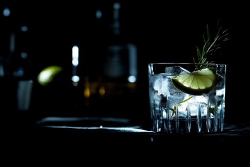 Wall Mural - a gin and tonic cocktail with ice cubes, lime wedges, and rosemary garnish in a rocks glass on the right side of the frame. 