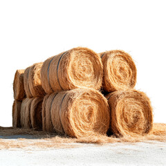 Wall Mural - Stacks of golden hay bales arranged in rows on a flat surface, isolated against a clean white background. Perfect for agricultural themes, rural designs, or farm-related projects