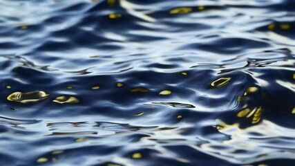 Poster - Calm water surface with gentle ripples and reflections, abstract nature background. Serenity and tranquility concept