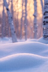 Wall Mural - soft, fluffy snow drifts in a birch forest at sunset; snowflakes gently fall.