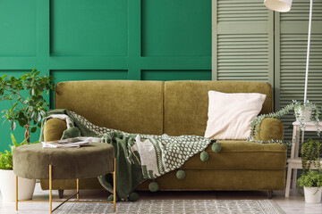 Canvas Print - Cozy sofa, pouf and houseplants in interior of living room