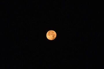 Wall Mural - bright yellow full moon floating on sky in morning