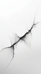 Poster - Cracked Wall Art Abstract Design with Fine Black Lines and Texture