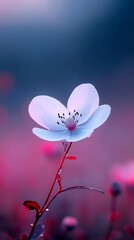 Poster - Blossoming flower, dew drops in meadow, bokeh background. Nature still life use for mobile wallpaper