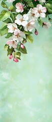 Wall Mural - Flowering branches overlay on a textured green background for cards, templates, or social media use