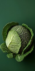 Wall Mural - Fresh savoy cabbage on a green background. Food concept, culinary blog, organic products