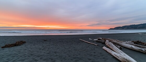 Canvas Print - Log on Black Sand Beach during Sunset. Waves in background. Potential travel blog header