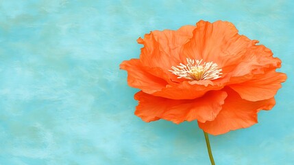 Poster - Orange flower against a textured background, for greeting card, with copy space for text