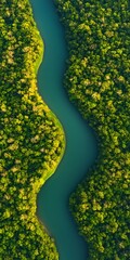 Sticker - River curving through a lush jungle from above. Environment concept