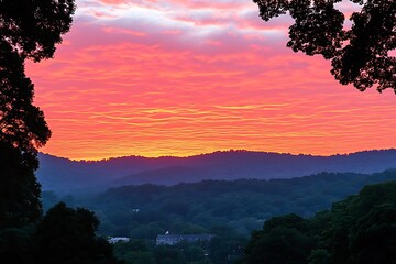 Wall Mural - Silhouetted trees frame vibrant sunrise over valley