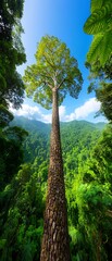 Poster - Tall tree towers above rainforest. Mountains hazy in the background, ideal for nature, travel designs