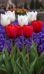 Canvas Print - Tulips bloom amid spring park; blurred figures suggest events/gardening, ideal for nature blogs