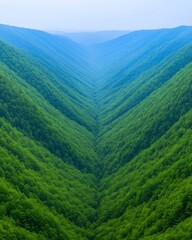 Poster - Valley View Mountain pass, dense trees, green nature. Background of distant misty mountains. For travel content