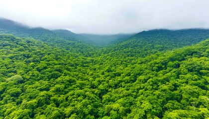 Poster - View of Lush Forested Mountains & Cloudy Sky, great for ecotourism, backgrounds, & conservation websites