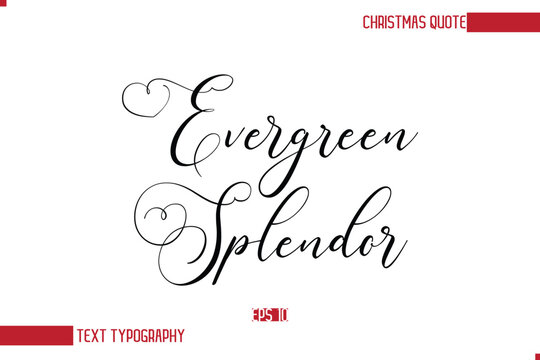 Modern Cursive Typography Text Of Christmas Saying Evergreen Splendor