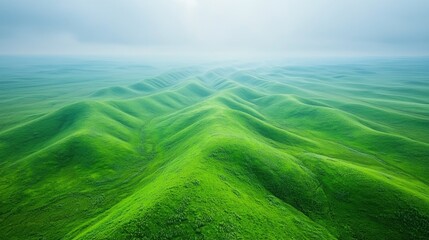 Wall Mural - Aerial view of rolling green hills, misty background, ideal for nature documentaries