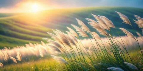 Aufkleber - Golden Hour Serenity  A Field of Windswept Grasses Basking in the Warm Glow of the Setting Sun