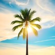 © Nadir - A serene and vibrant copy space featuring a lone tropical palm tree standing tall against a brilliant sky background,