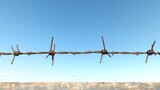 Barbed wire fence stretching under a clear blue sky, sharp metal wires and edges visible, emphasizing security and protection, highrealism outdoor scene