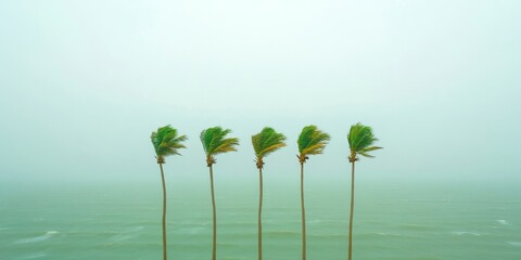 Aufkleber - Dynamic Storm Imagery Palm Trees in Hurricane Winds, Capturing Natural Forces for Weather Documentation and Safety Awareness in Environmental Education