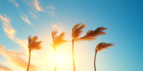 Aufkleber - Tropical Storm Imagery Dramatic Palms Swaying Against Vibrant Sky - Visual for Climate Impact Awareness and Resilient Design Strategies in Environmental Planning