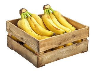 Wall Mural - Ripe bananas in a rustic wooden crate box, isolated on transparent cutout background