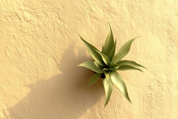 Poster - A small succulent plant sits atop a wall, surrounded by greenery