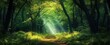 © smalltinykid - Mystical Forest Path with Natural Archway and Ethereal Sunlight