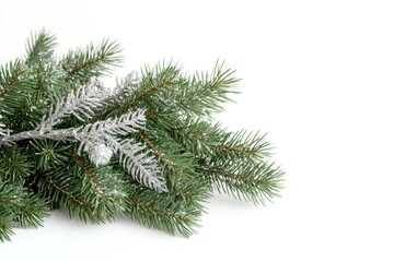 Poster - Close-up of a pine branch covered in snow, ideal for winter scenes or nature-inspired designs