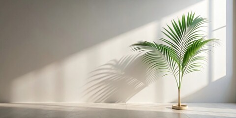 Aufkleber - Serene Minimalist Interior with Sunlight Illuminating a Single Palm Plant in a Simple Pot on a Light Floor against a Neutral Wall
