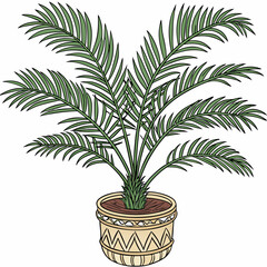 Poster - Palm tree plant in pot vector illustration