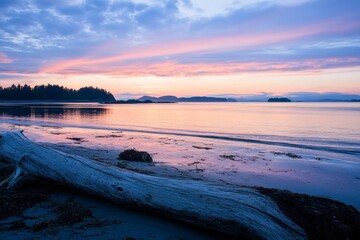 Wall Mural - long shot of driftwood on the beach, beautiful sunset colors. The water is calm and reflects the colorful sky.