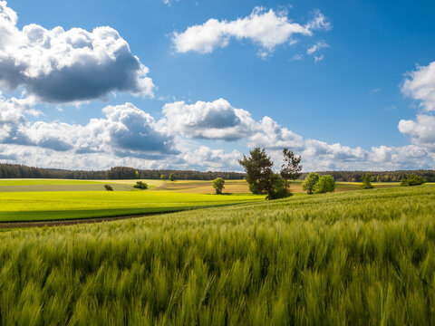friedliche ländliche landschaft an einem sonnigen tag