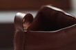 © GCapture - Closeup detail shot of brown leather sneaker