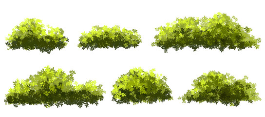 Wall Mural - vector watercolor green tree or moss side view isolated on white background for landscape and archit