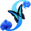 © Nina - Blue letter S with orchid and butterfly on  transparent background; PNG