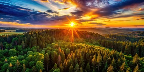 Wall Mural - Forest silhouettes bathe in the golden light of a stunning evening sky.