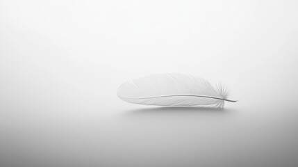 Poster - A single feather resting on a smooth white surface