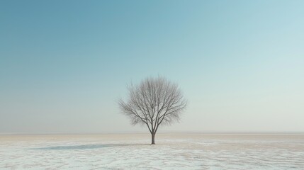 Poster - A single tree standing in the middle of a vast white desert.