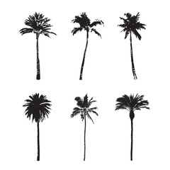 set of palm trees in black and white silhouette icon vector drawing
