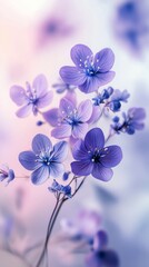 Wall Mural - Vibrant purple flowers arranged with delicate buds on a light background