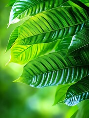 Sticker - Lush Green Tropical Leaves Background - Natural textures