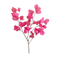 Wall Mural - A pink flower with a stem is the main focus of the image. The flower is the most prominent element, and it is surrounded by a white background. The pink color of the flower creates a sense of warmth