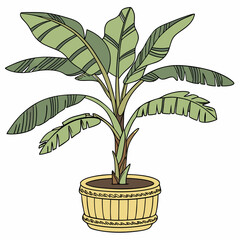 Sticker - Banana tree plant in pot vector illustration