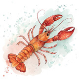 Lobster , omar, seafood , crawfish, crustacean , watercolor , food illustrations	
