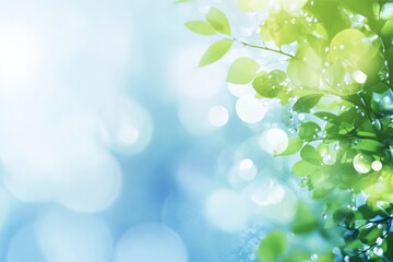 Poster - Fresh green leaves glisten in sunlight with a soft blue background on a serene morning. Generative AI