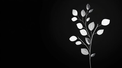 Wall Mural - Elegant grayscale branch, leaves, dark background; design element